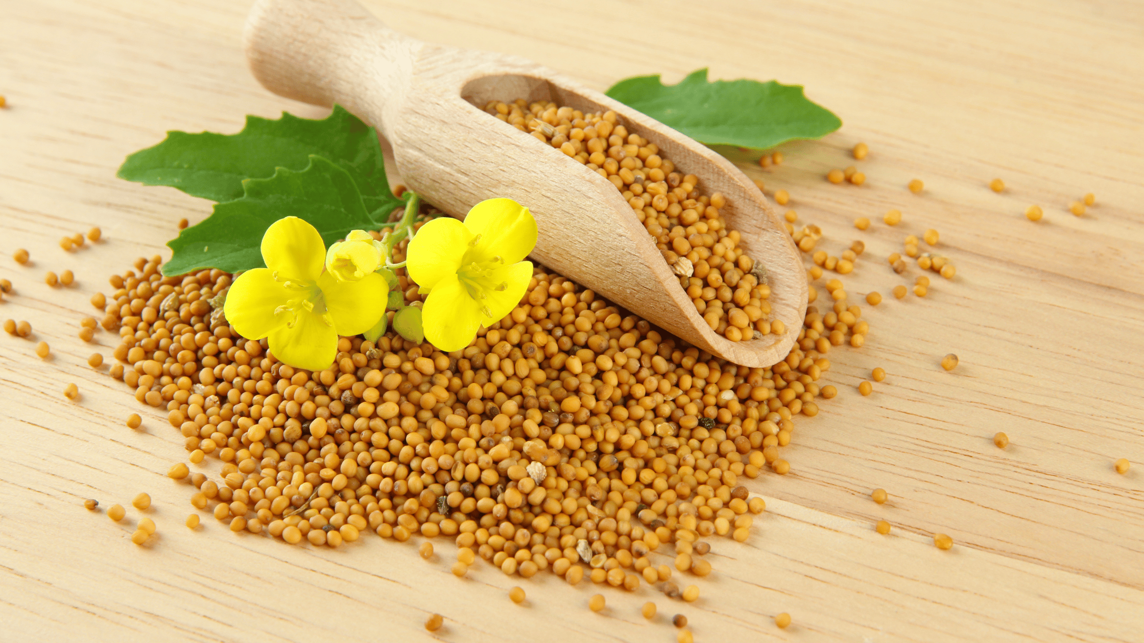 Flower Seeds