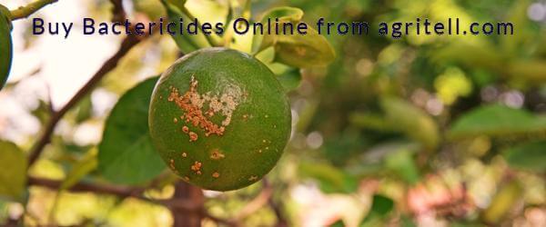 Buy Buy Bactericides online Online - Agritell.com