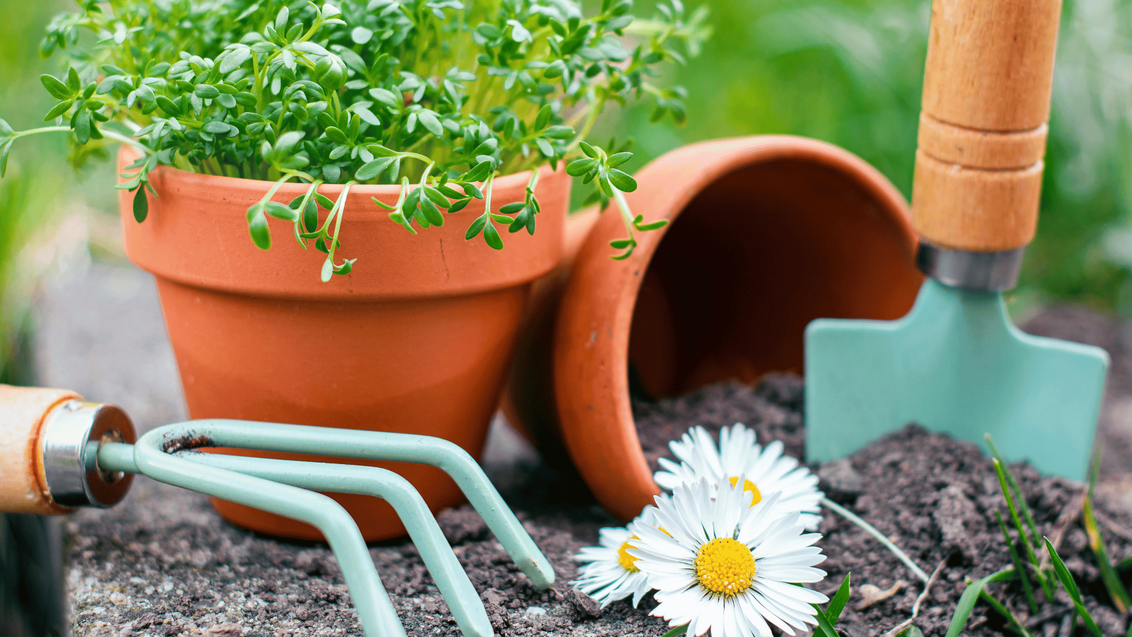 Gardening Tools