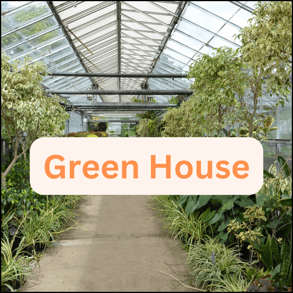 Buy Green House Products Online