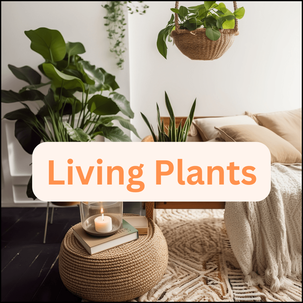 Buy Living Plants Online