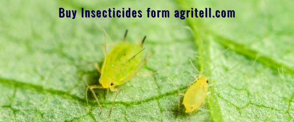 Buy Buy Insecticides of Leading Brands Online Online - Agritell.com