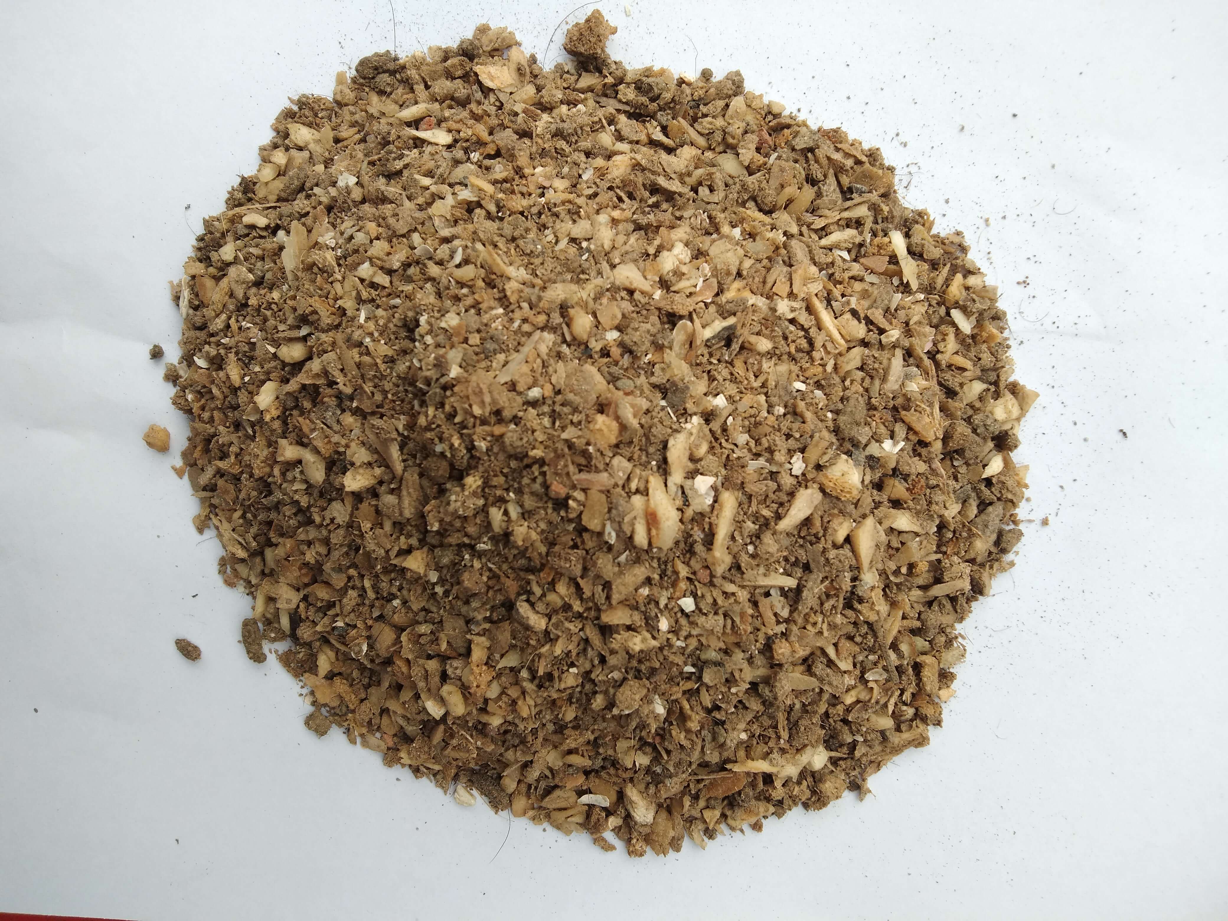 bone meal powder for plants