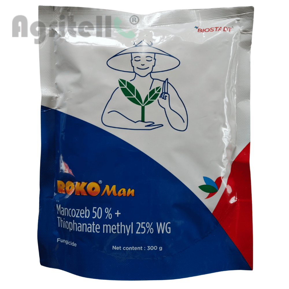 Roko Man