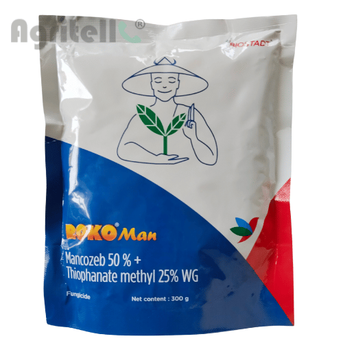 Roko Man