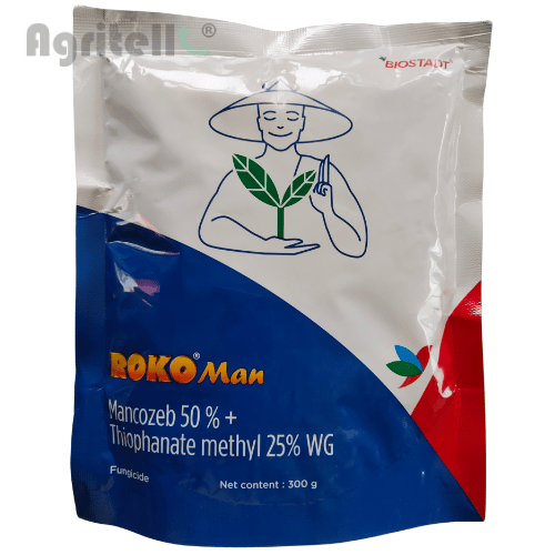 Roko Man