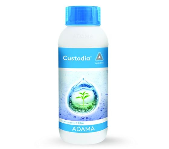 Buy CUSTODIA (Azoxystrobin 11% + Tebuconazole 18.3% SC) Online - Agritell.com