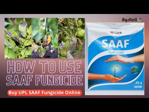 UPL SAAF Fungicde video